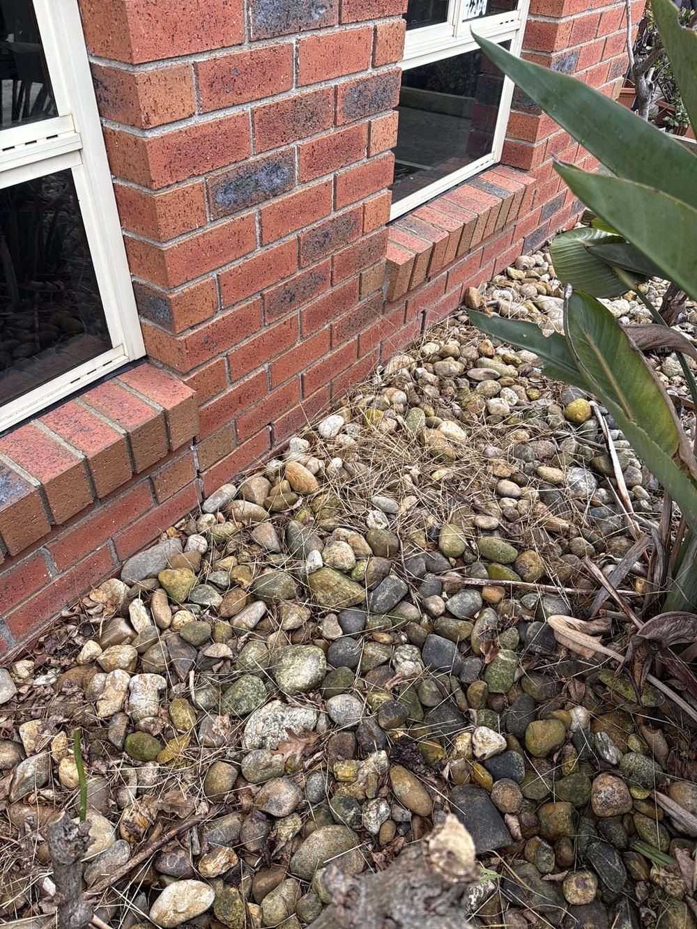 Ground level too close to the weep holes along this wall, found during a building and pest inspection in Berwick